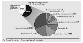 PRRS行業動態全解析 行情走勢、企業管理與行業趨勢